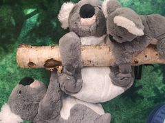 -缘久缘米粉(新街口店)