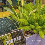 🔥佛山美食|秋日探访|崬Donkee
