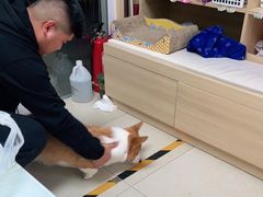 -宠福鑫康馨动物医院·骨科·眼科