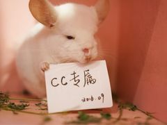 -藦茜花园宠物主题亲子互动体验馆(国顺东路店)