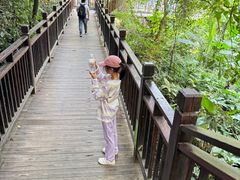 -西双版纳原始森林公园