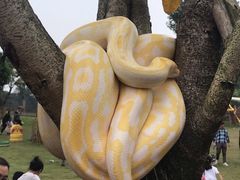 -黄龙溪欢乐田园