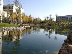 -北京国家会计学院