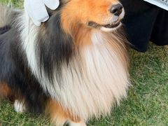 -上海神旺大酒店