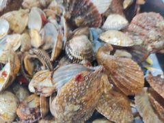 -雅逸居海鲜小厨