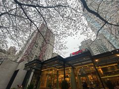 -玛格萝妮比萨屋(四平店)