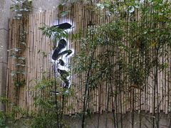 -柴务处·柴犬主题狗咖