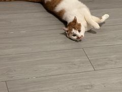 -佳雯宠物医院·皮肤科·内外科(春晓路分院)