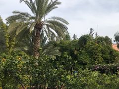 -马洛雷勒花园