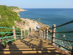 -广东惠东海龟国家级自然保护区