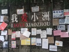 -小洲村