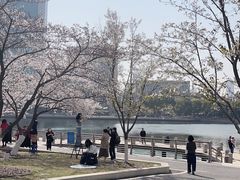 -西北湖绿化广场
