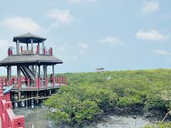 -北海金海湾红树林生态旅游区