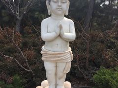 -龙口南山旅游景区