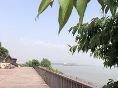 -上海滨江森林公园