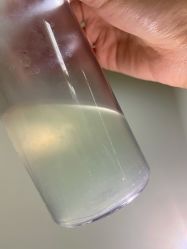 -维秘形体医美 M·VVON医生集团