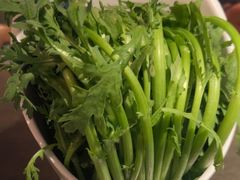 -同仁四季椰子鸡(罗湖国贸店)