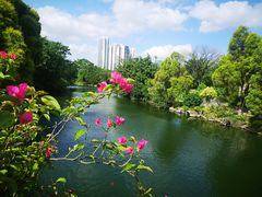 -南宁市动物园