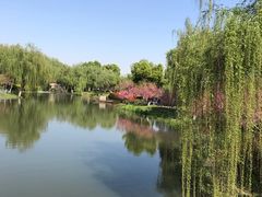 -圩墩遗址公园