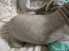 -佳百利宠物(荣乐中路115弄小区店)