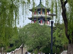 -莱西月湖公园