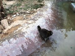 -泉州海丝野生动物世界