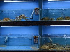 -钱山海鲜大排档