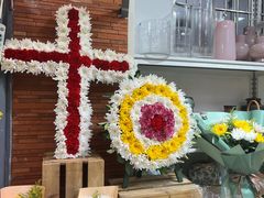 -溪岸路花鸟市场