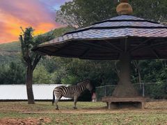 -石家庄市动物园