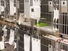 -瑞派康怡24h宠物医院·犬猫医疗中心·微创绝育(瑞景分院)