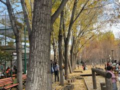 -回龙观体育文化公园