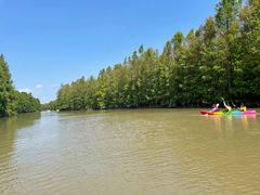 -上海海湾国家森林公园