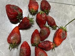 -小鱼草莓采摘园农家乐·小鱼餐厅