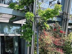 -西湖文化茶楼(环球中心店)