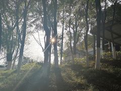 -重庆彩云湖湿地公园