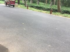 肉丸饭-宜家·瑞典风味餐厅(烟台路店)