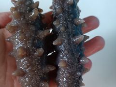 -宫品海参专卖店(静安大宁店)