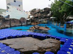 -海合安成都极地海洋公园