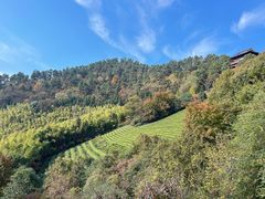 -敬亭山风景名胜区