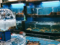 水产区-一麦·龙岛(上海青浦店)