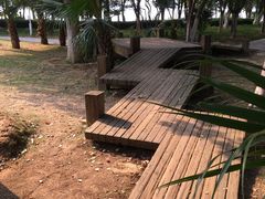 -燕鸣岛