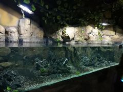 -重庆欢乐海底世界