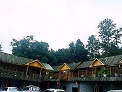 -铁山坪森林公园