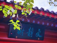 -宣武艺园