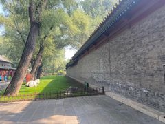-晋祠公园
