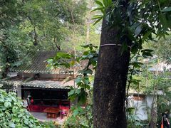 -广州兰圃