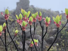 -广东天露山旅游度假区