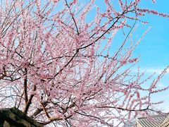 -三里河公园