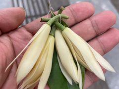 -嘉州海汇源老烧麦店