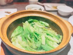 虾酱啫通菜梗-啫神·广州地标美食(北京路店)